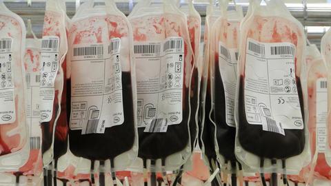Gefüllte Blutspendebeutel hägen bereit für den Einsatz